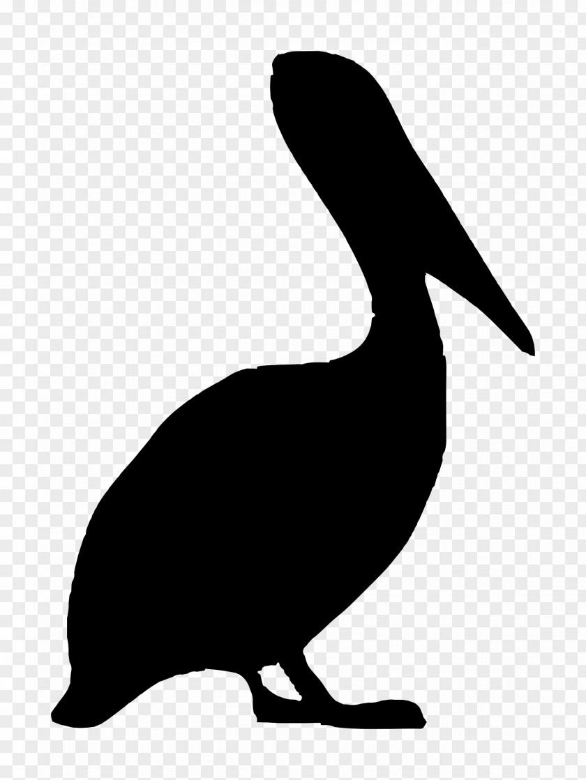 Pelican Bird Brown Clip Art PNG