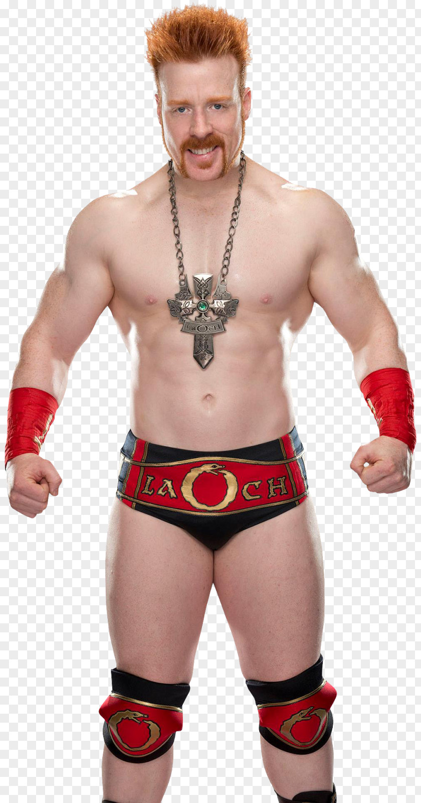 Sheamus WWE United States Championship Intercontinental Professional Wrestler Wrestling PNG wrestling, sheamus clipart PNG
