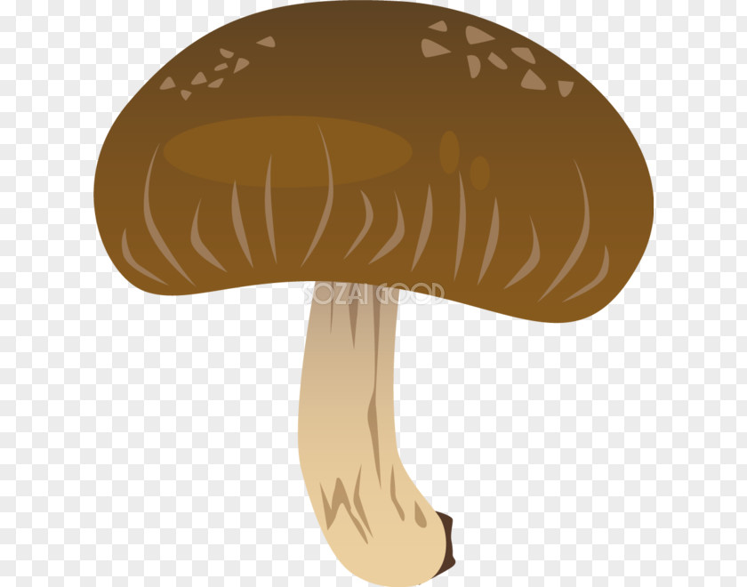 Ai.zip Hat Mushroom PNG