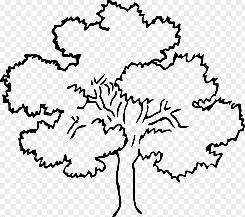 Black Trees Cliparts Tree Oak Outline Clip Art PNG