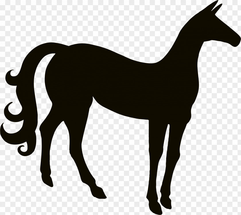 Cartoon Horse PNG