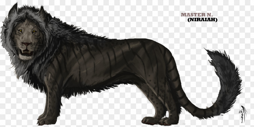 Lion King Liger Drawing Simba PNG