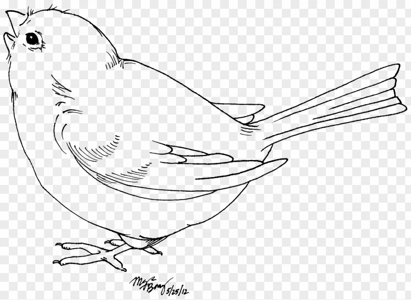 Love Birds Bird Drawing Black And White Clip Art PNG