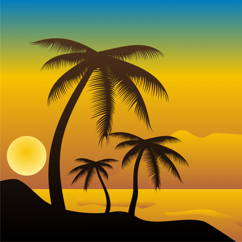 Beaches Beach Arecaceae Drawing Clip Art PNG