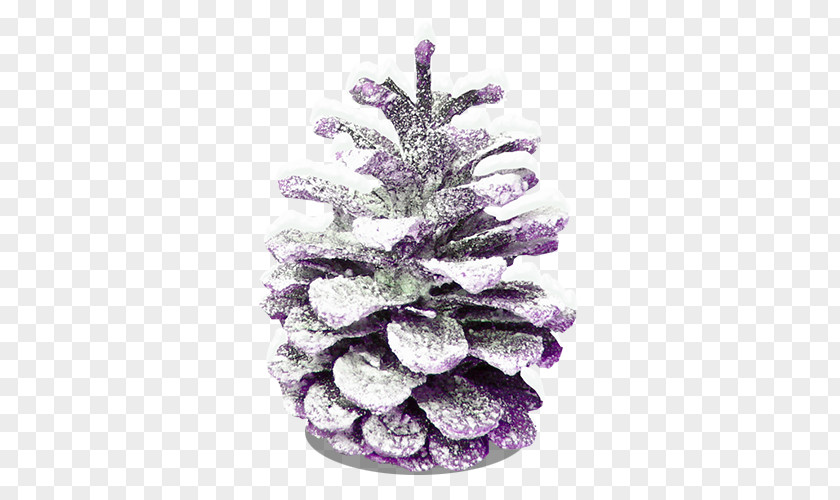 Christmas Snow Cones Conifer Cone PNG