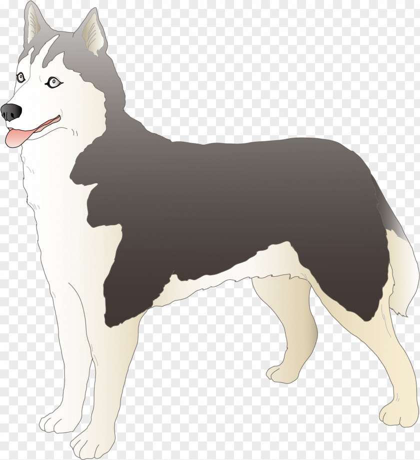 Dog Siberian Husky East Laika West Sakhalin Karelian Bear PNG