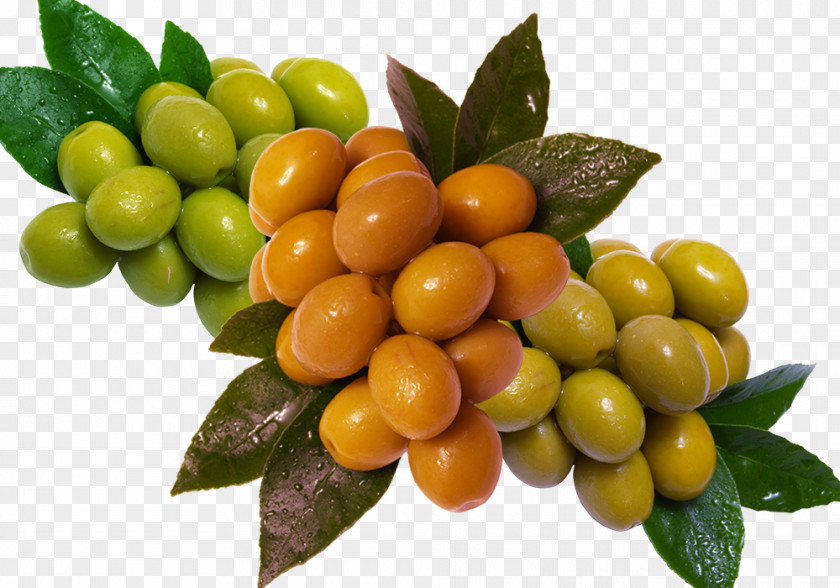 Olive Green And Orange Creative Kumquat PNG