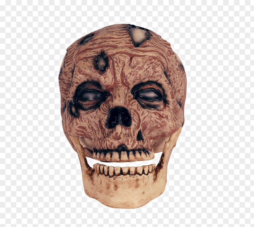 Skull Zombie Head Anatomy PNG Anatomy, skull clipart PNG