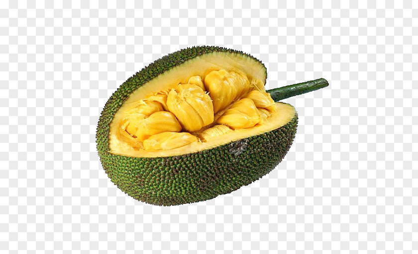 Jackfruit Cempedak Tropical Fruit Food PNG