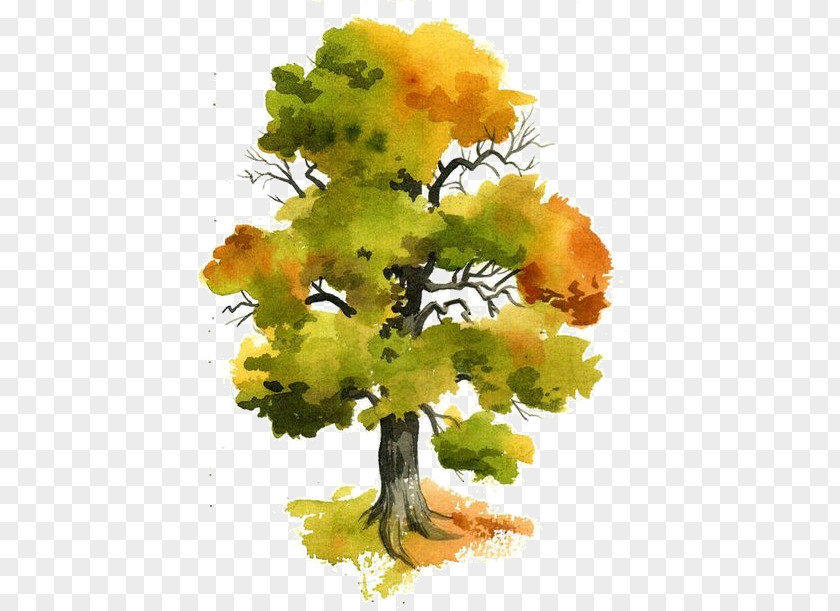 Watercolor Trees PNG trees clipart PNG