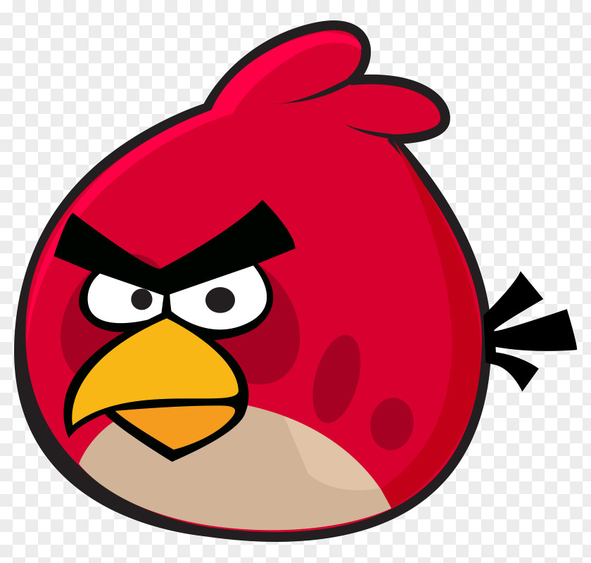 Bird Angry Birds Seasons Red Beak Smiley PNG