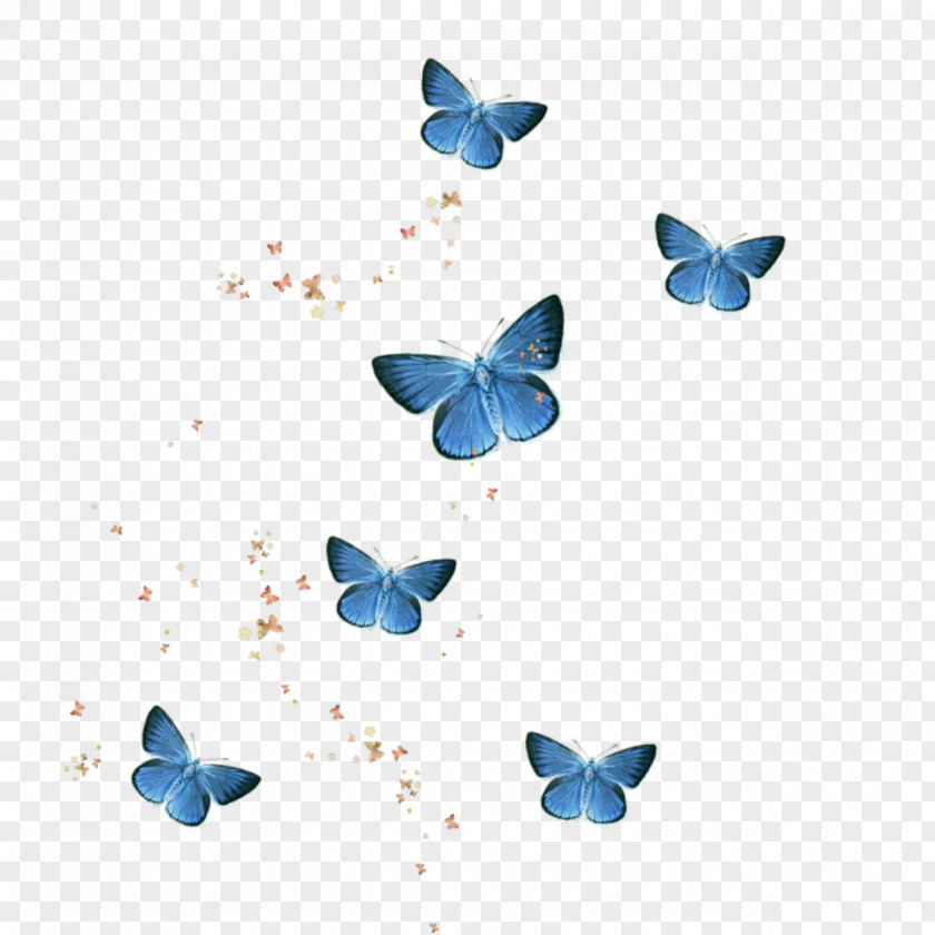 Butterfly Alcon Blue Borboleta Image Naughty Accessories PNG