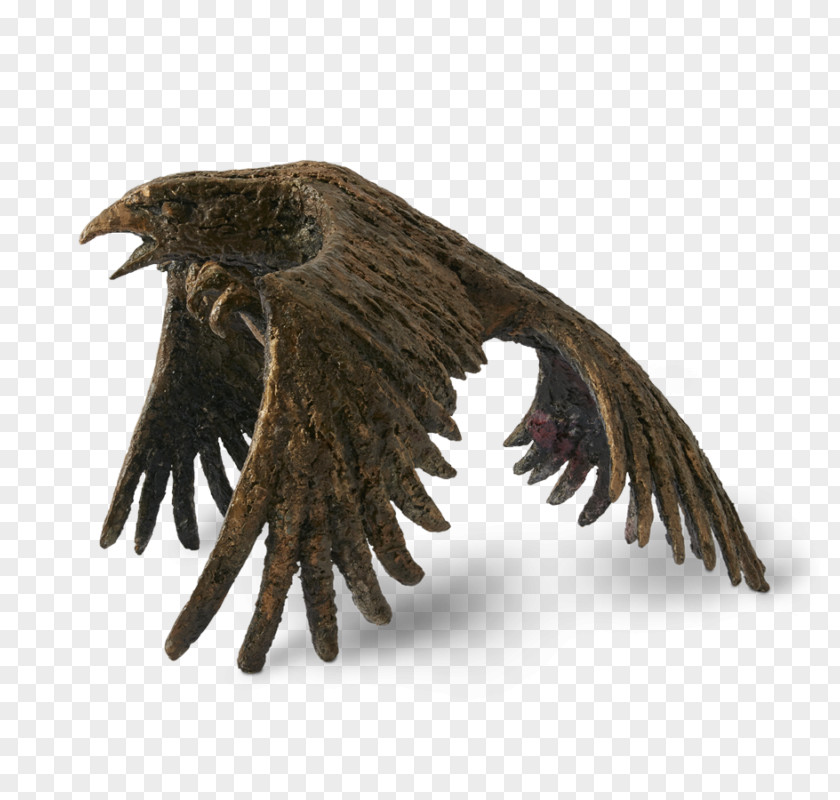 Eagle Beak Hair Resin Wife PNG