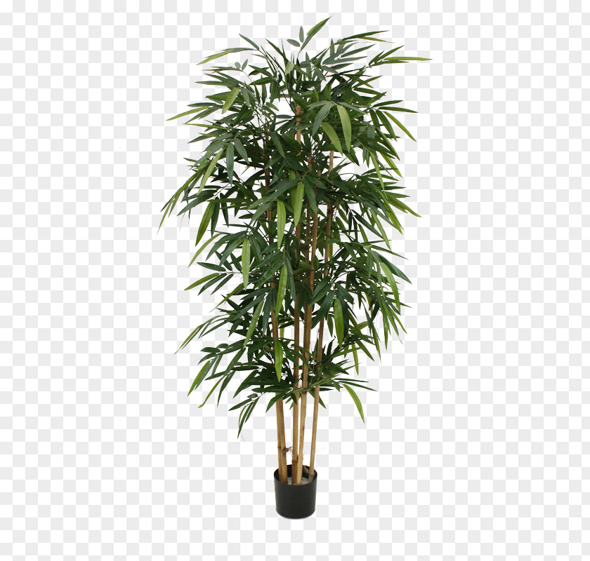 Large Potted Plants Weeping Fig Bamboo Houseplant Tree Silk PNG