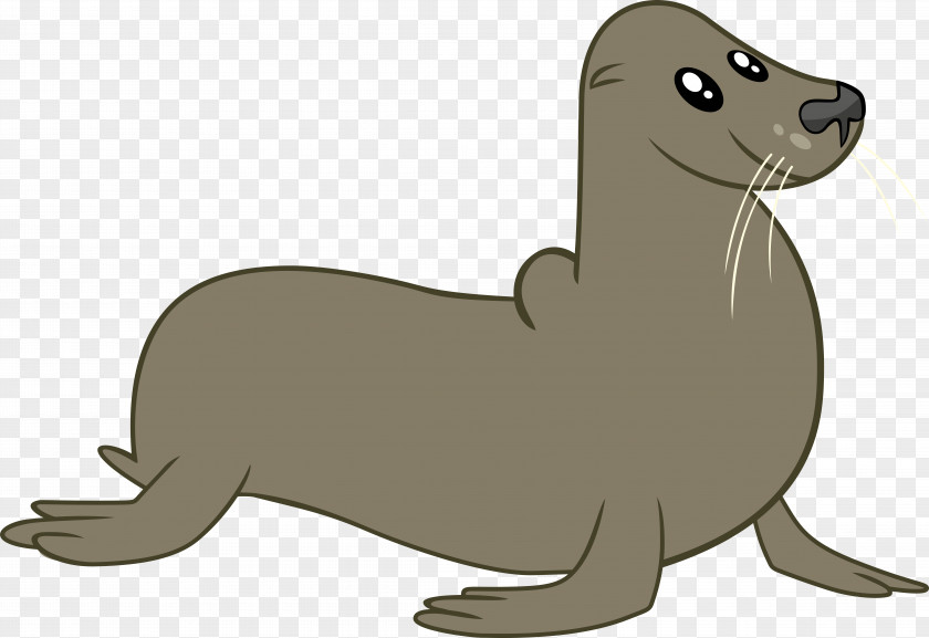 Seal Seals May The Best Pet Win! Read It And Weep Mammal PNG