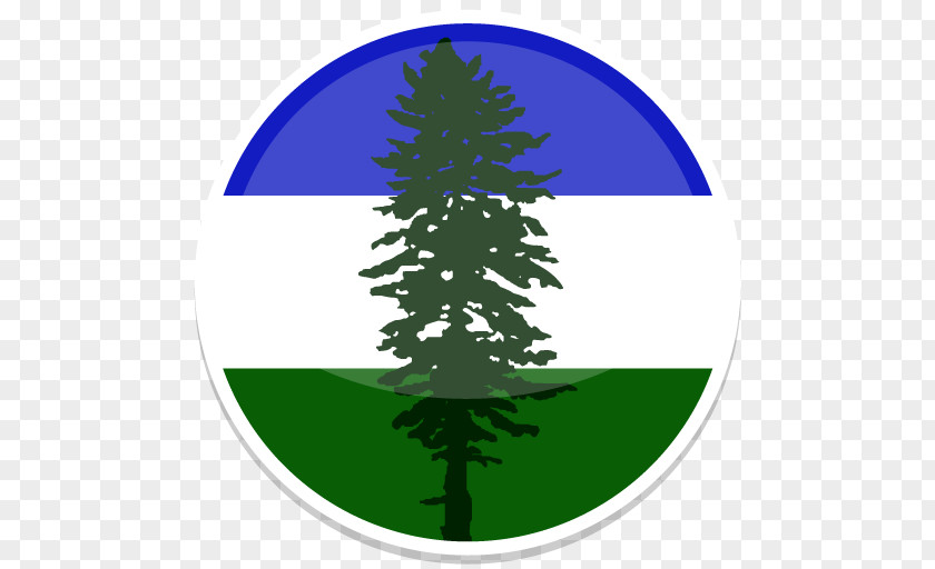 Cascadia Fir Pine Family Leaf Font PNG