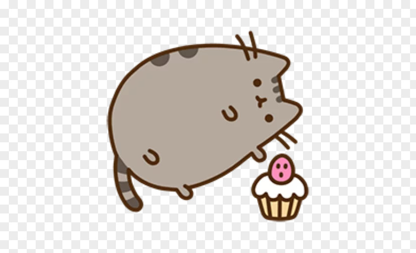 Cat Cupcake Muffin Donuts Pusheen PNG