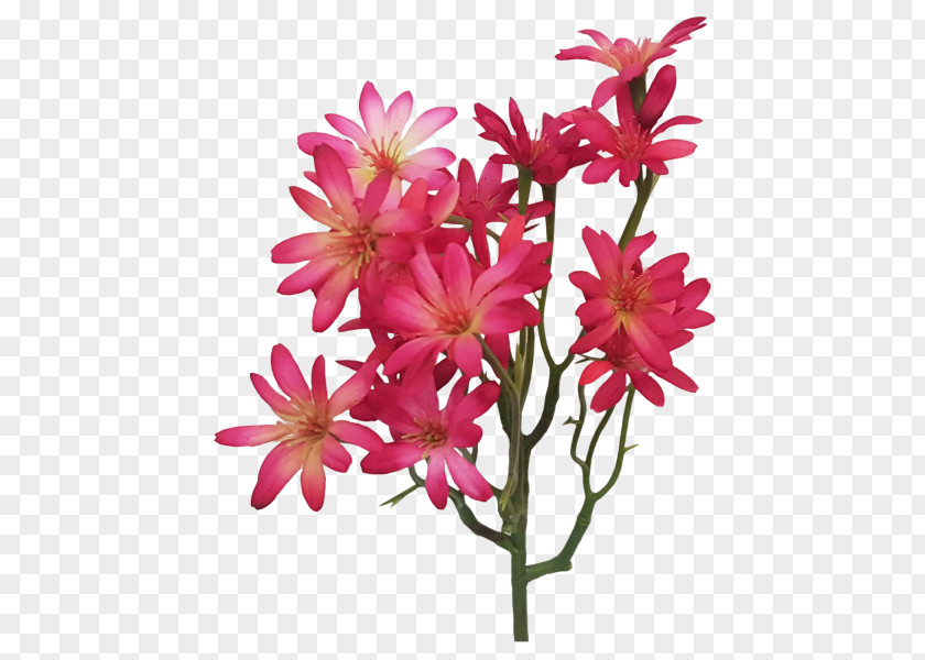 Design Cut Flowers Floral Pink M Plant Stem PNG