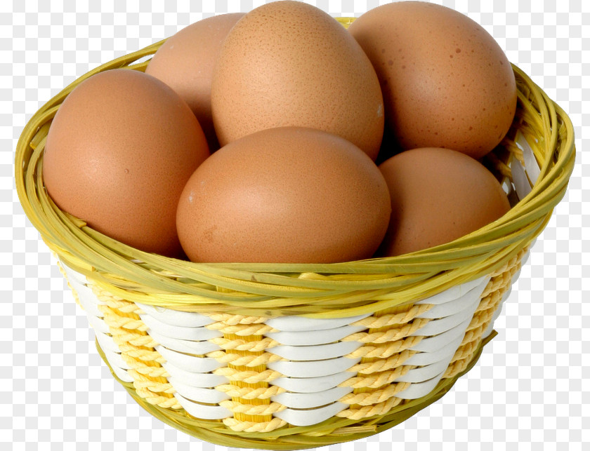 Egg Photography PNG