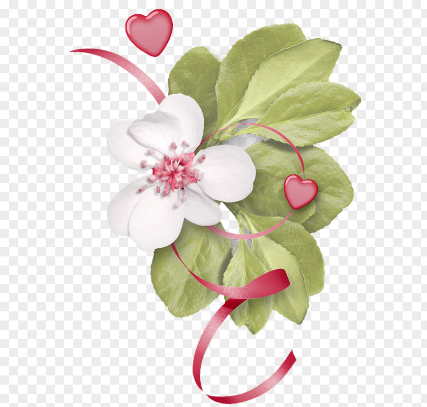 Flower Digital Scrapbooking Floral Design Clip Art PNG