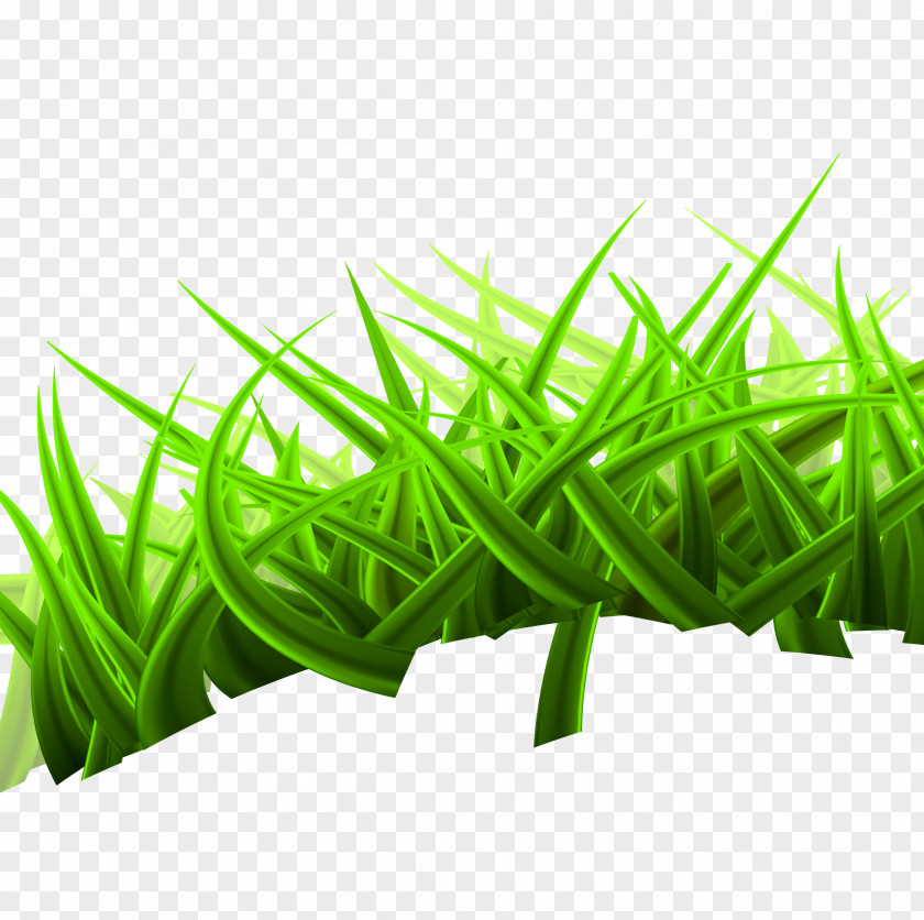 Grass Lawn Landscape Euclidean Vector Nature Royalty-free PNG