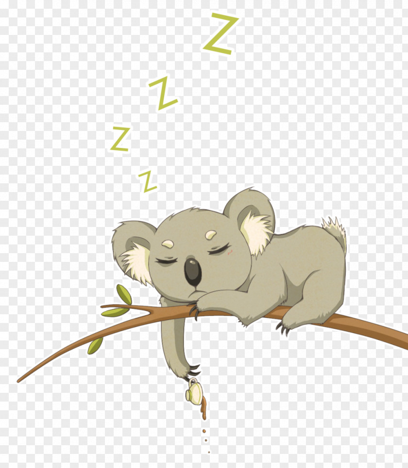 Koala Mouse Animal Kitten Giant Panda PNG