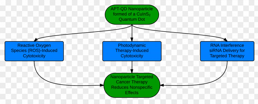 Mcf7 Treatment Of Cancer Targeted Therapy Nanoparticle PNG