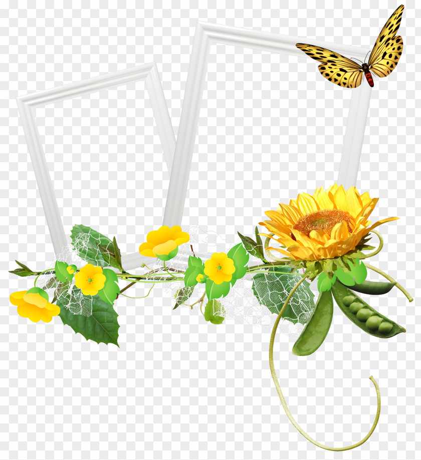 Sunflower Clip Art PNG