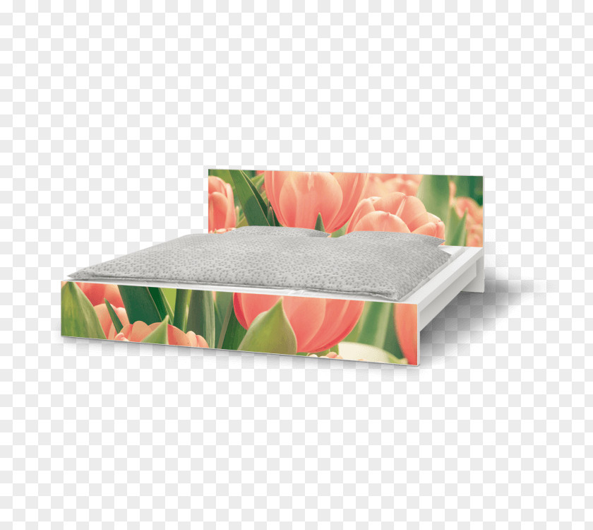 Tulip Material Sofa Bed Couch Furniture Frame PNG