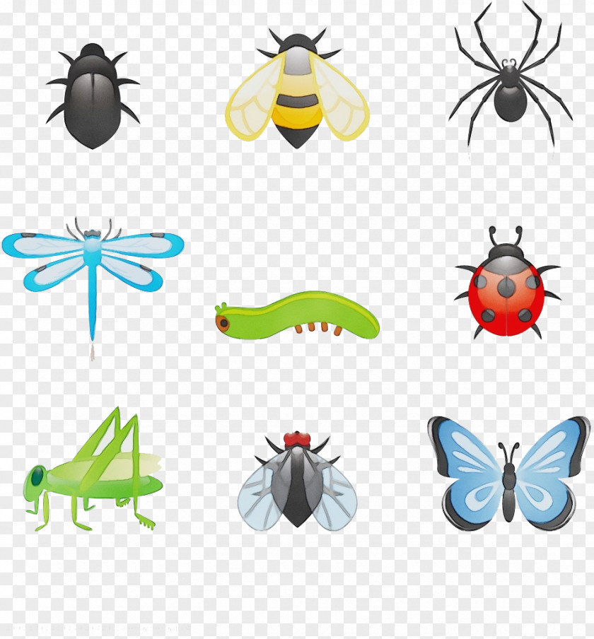 Beetles Fly Collage Insects Cartoon PNG