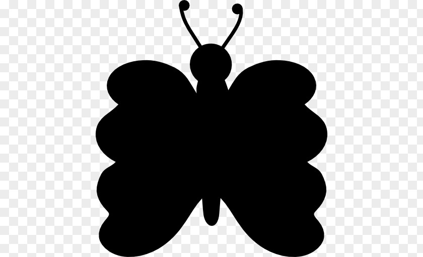 Butterfly Symmetry Shape Insect PNG