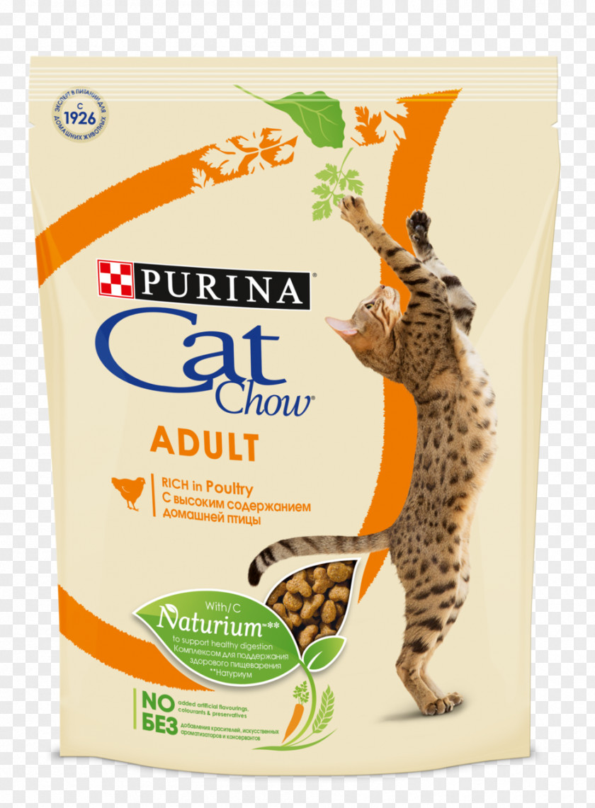 Cat Food Kitten Pet Nestlé Purina PetCare Company PNG