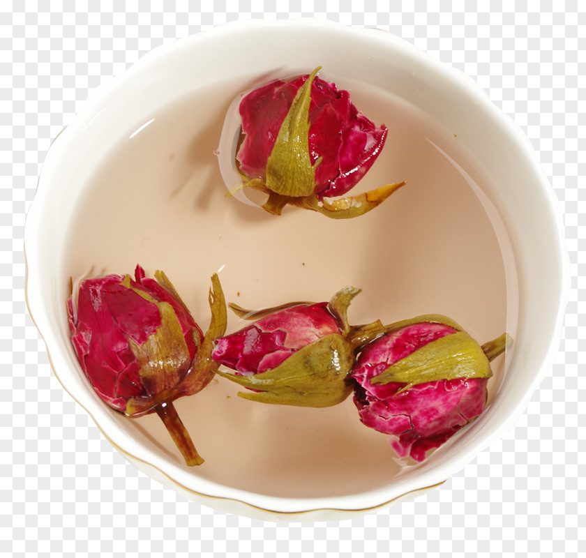 Cup Of Rose Tea Flowering Download PNG