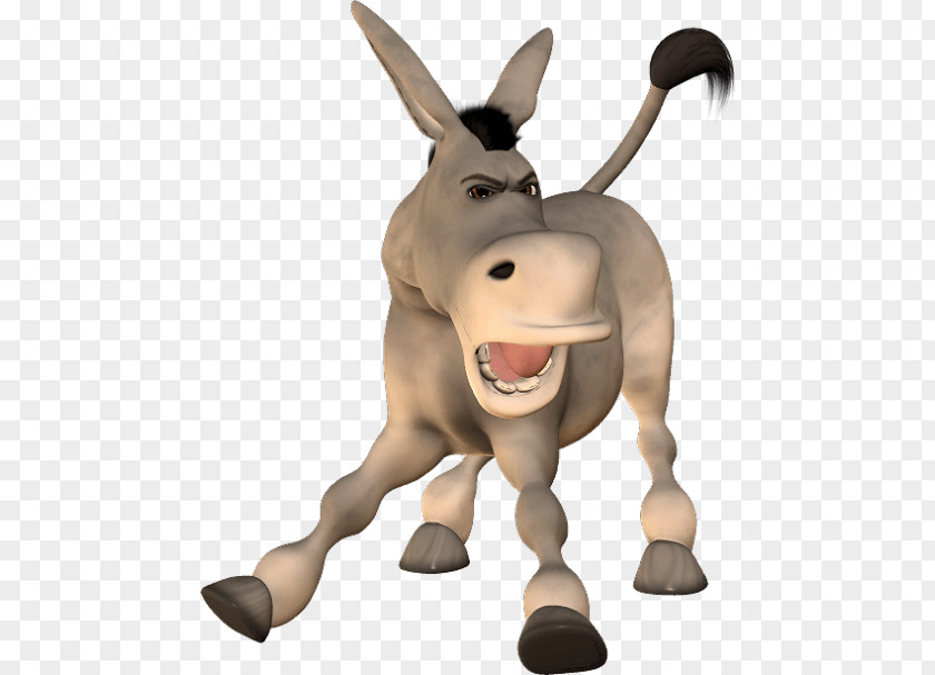 Donkey Mule Image Clip Art PNG