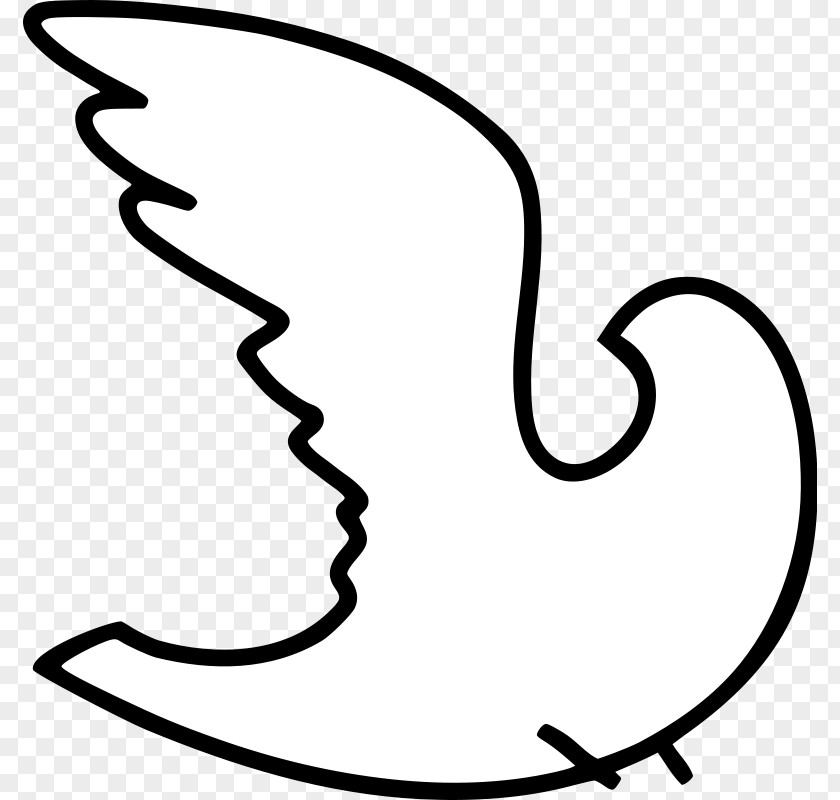 Dove Vector Columbidae Coloring Book Drawing Clip Art PNG