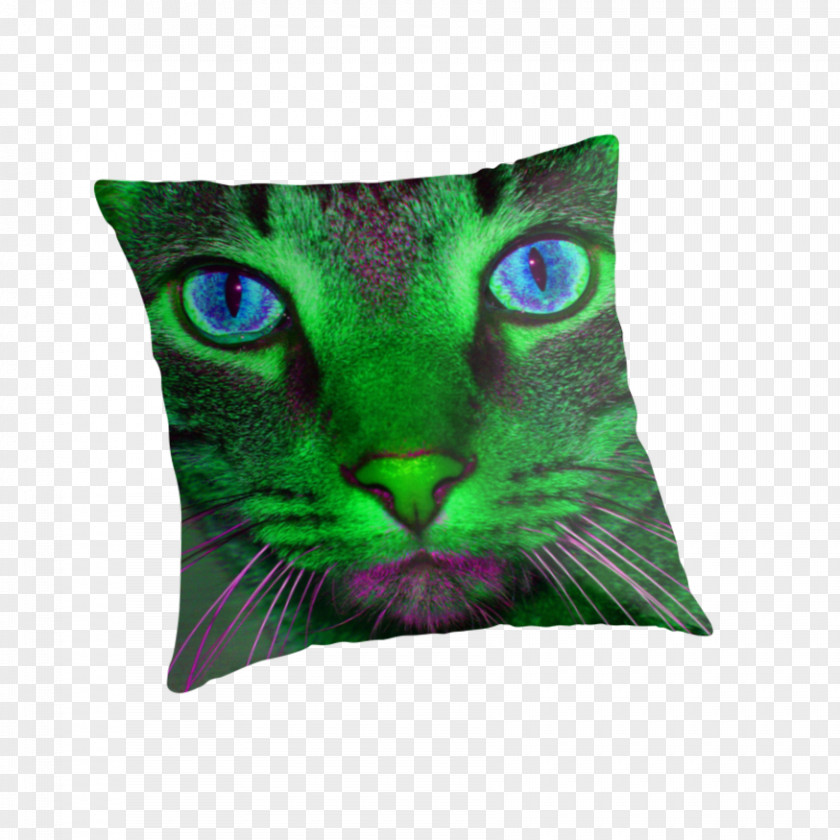 Green Pillow Whiskers Throw Pillows Cushion Snout PNG