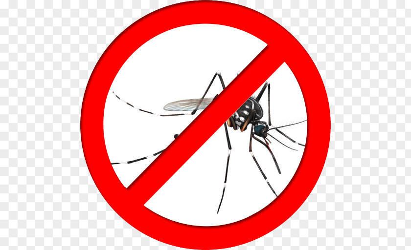 Insect Yellow Fever Mosquito Control Fly Zika Virus PNG