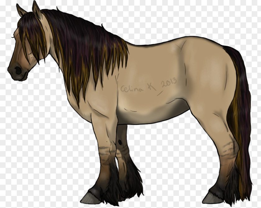 Mustang Foal Stallion Mare Colt PNG