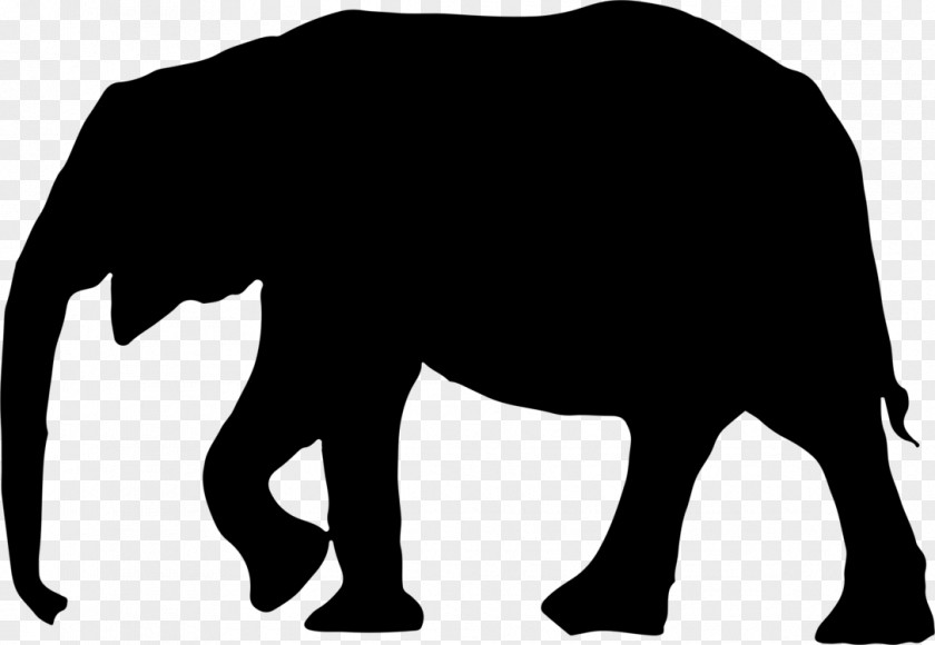 Silhouette Wildlife Indian Elephant PNG