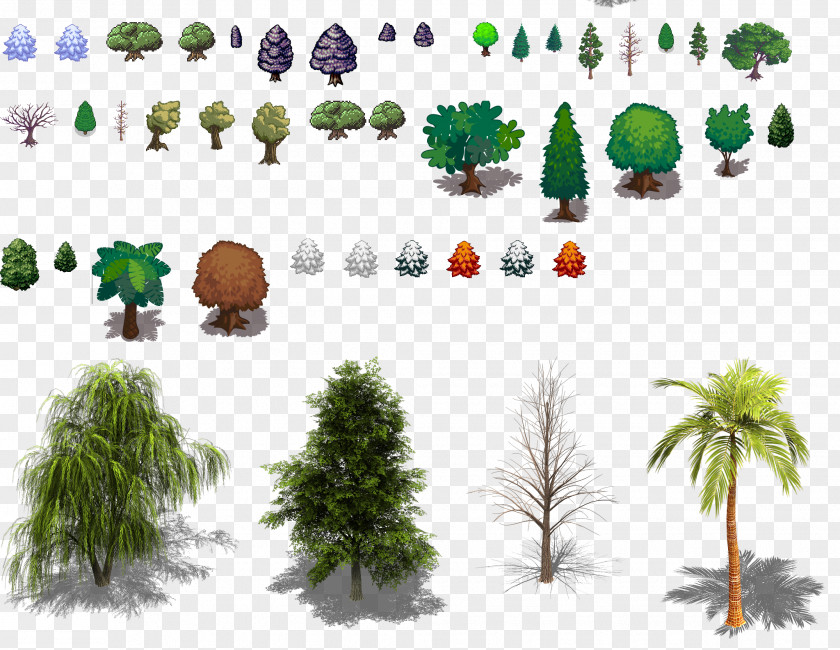 Sprite Ecosystem Conifers Tree Evergreen Biome PNG