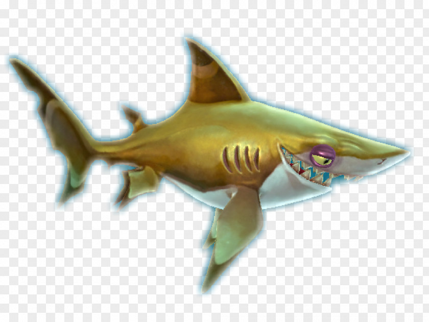 BABY SHARK Hungry Shark World Evolution Requiem Blacktip Reef Tiger PNG