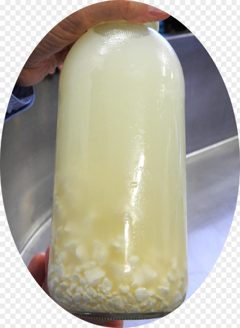 Cheese Curd Milk Whey Yoghurt PNG