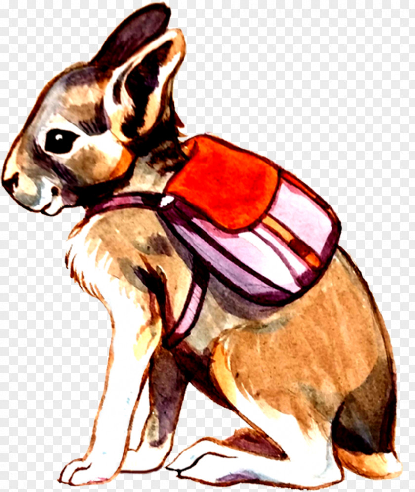 Cinco De Mayo Clip Art Chihuahua Dog Breed Design Illustration Video Games PNG