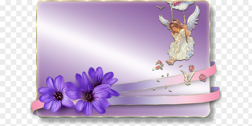 Purple Gift Box Software PNG