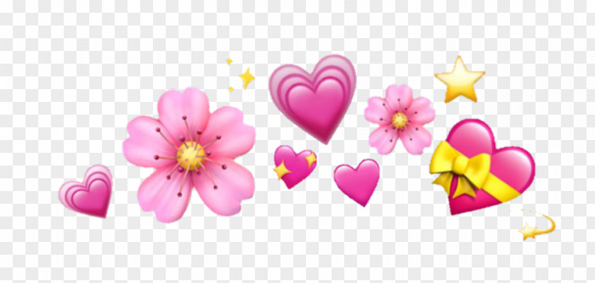 Valentines Day Cherry Blossom Heart Emoji Background PNG