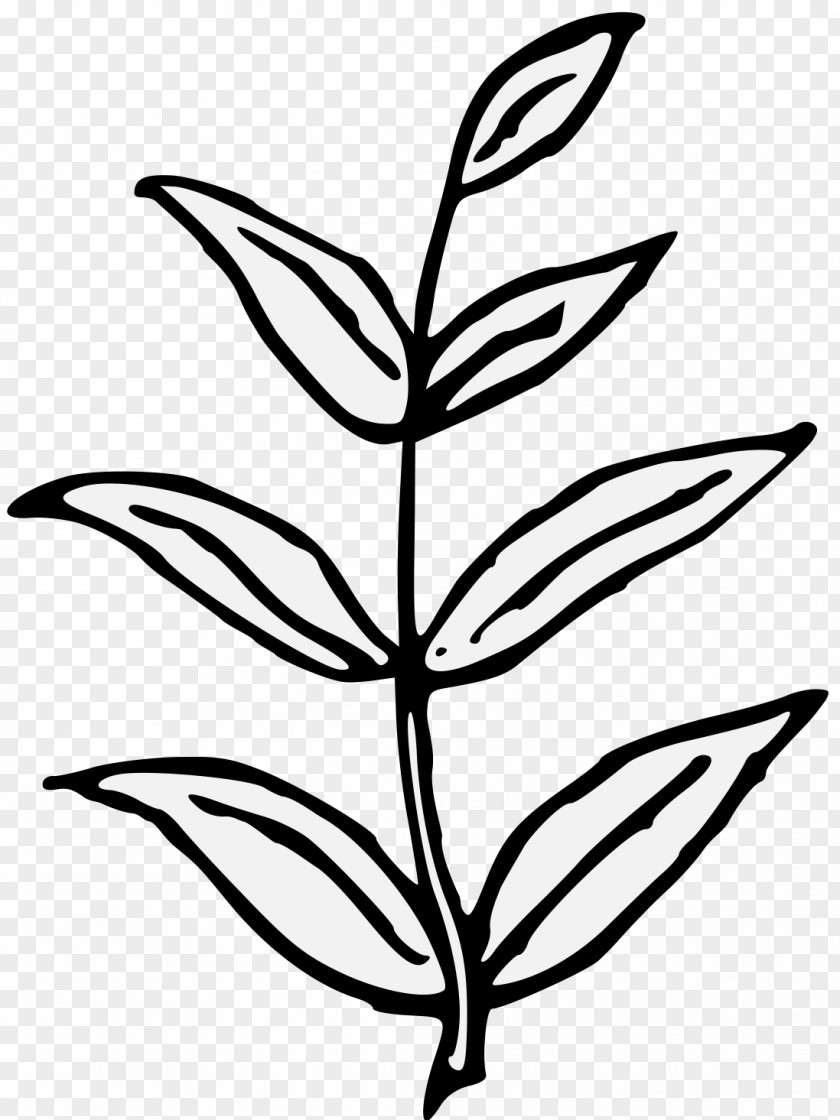Branch Plant Stem Art Tree Leaf PNG