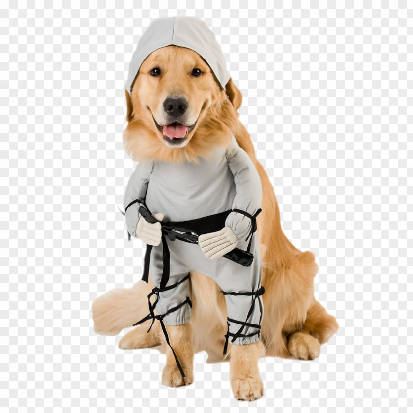 Cute Puppy Pembroke Welsh Corgi Costume Pet Ninja Dog PNG
