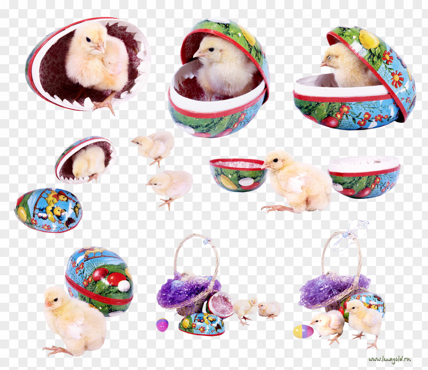 Easter Design Egg Bunny Clip Art PNG