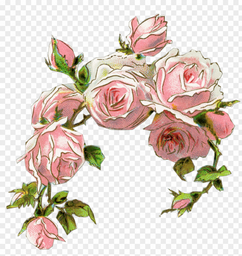Flowers Watercolor Rose Pink Vintage Clothing Flower Clip Art PNG