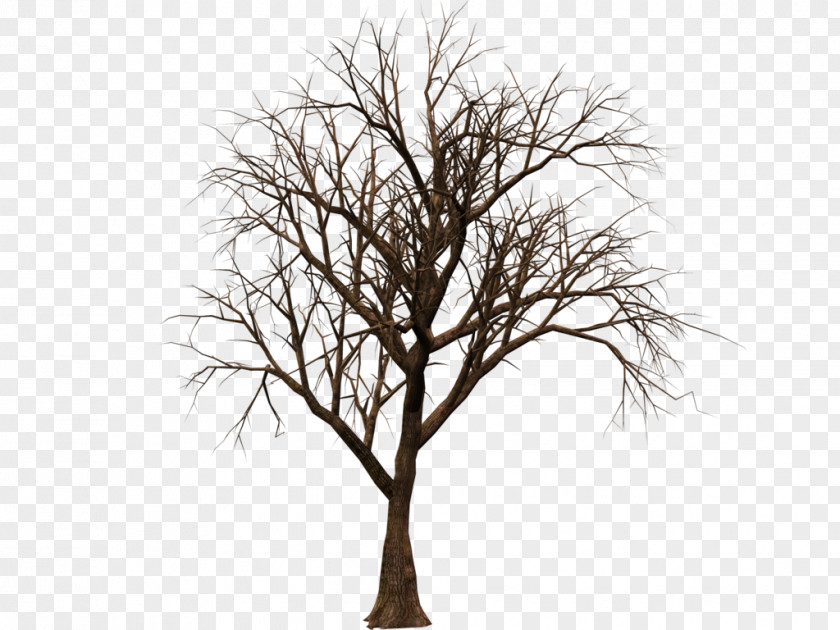 Hand Painted Tree Computer Software Clip Art PNG